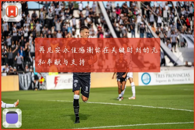 再见安永佳感谢你在关键时刻的无私奉献与支持